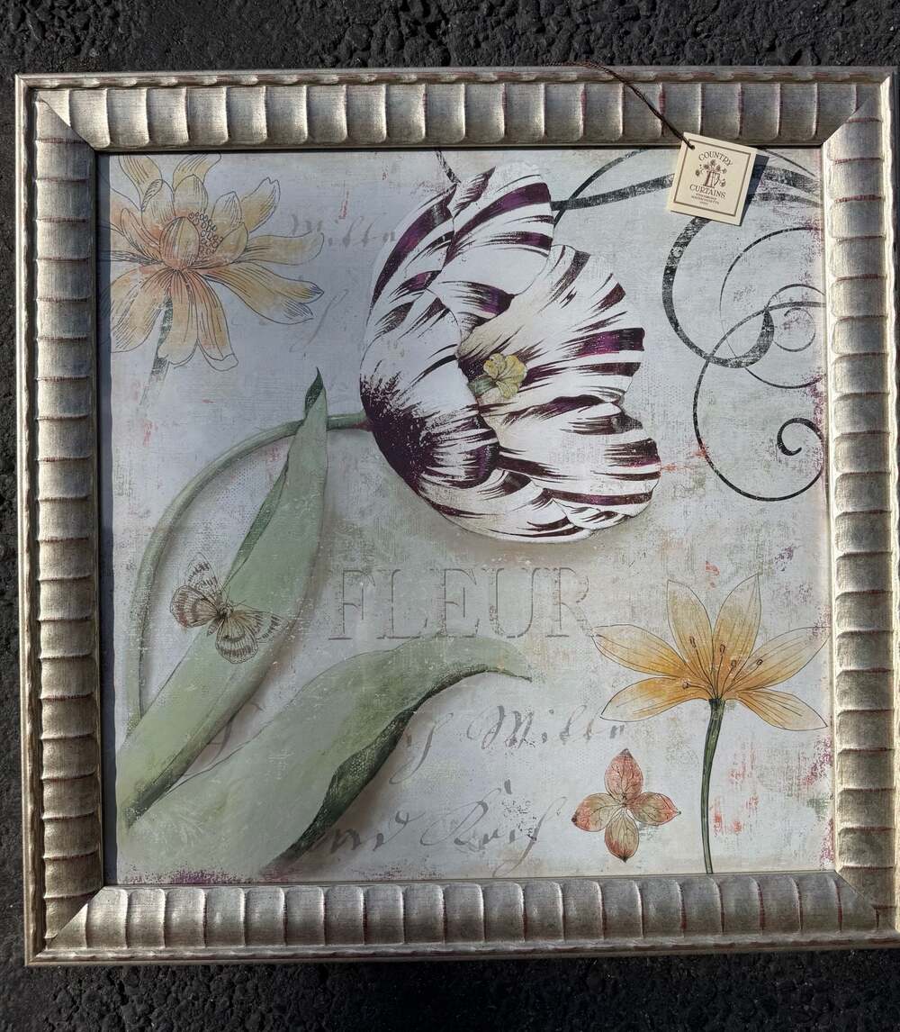 Aimee Wilson Tulipa I Framed Floral Art Print with Silver Ornate Frame